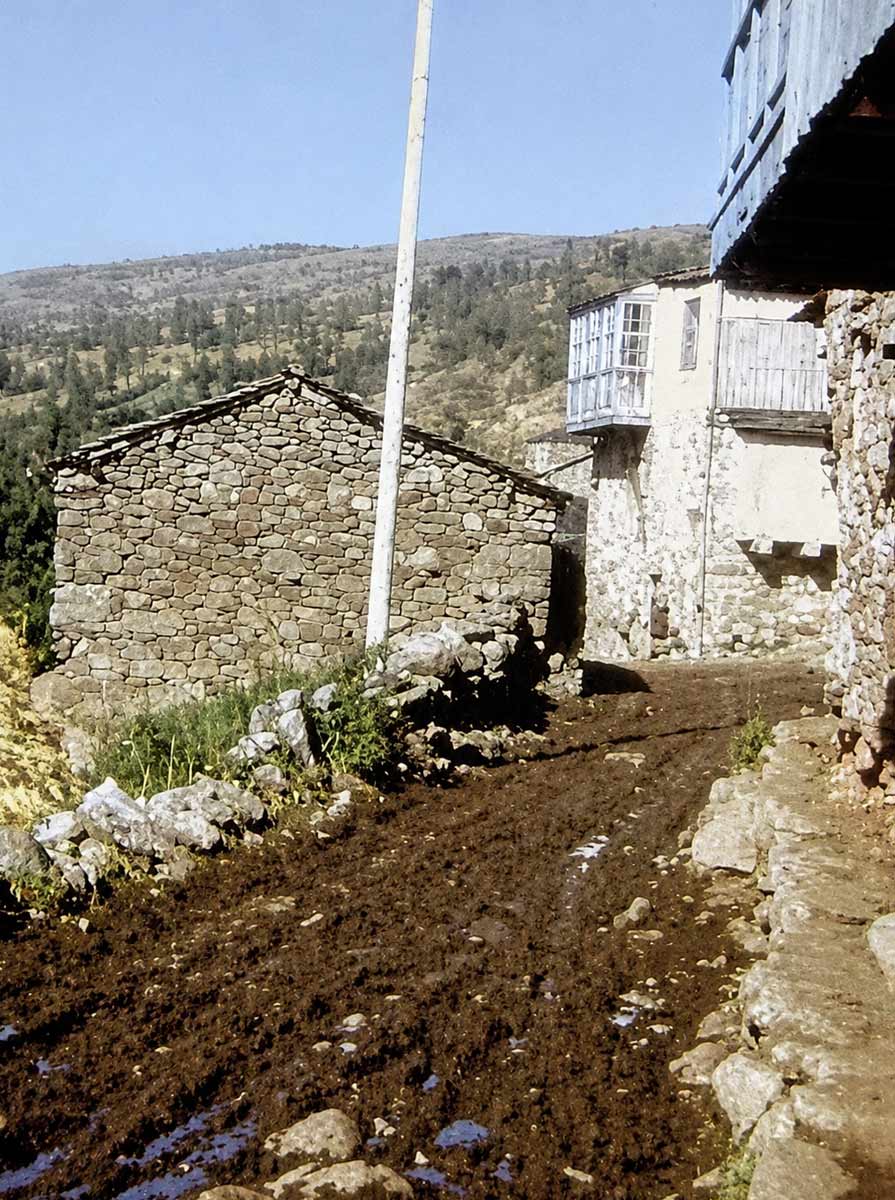 Calzada Pontepedrino | Pontepedrino Stone Path