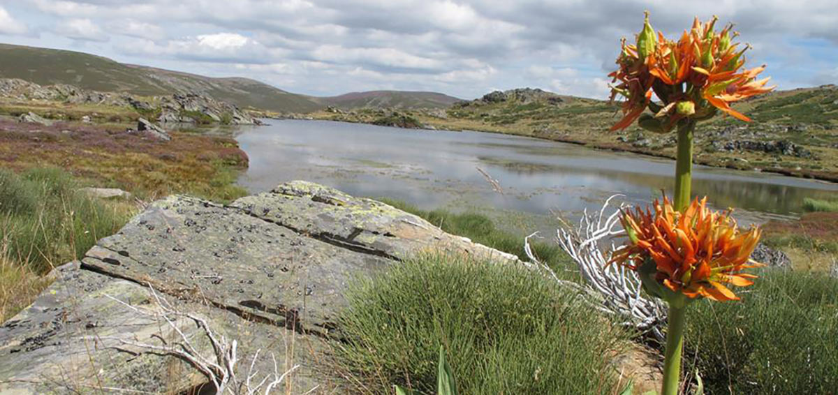 Laguna de Piatorta